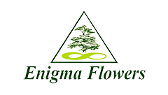 Enigma Flowers